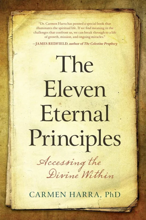 The Eleven Eternal Principles book cover